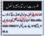 Teacher Jobs at Nishat Boys High School 2024 Advertisement 